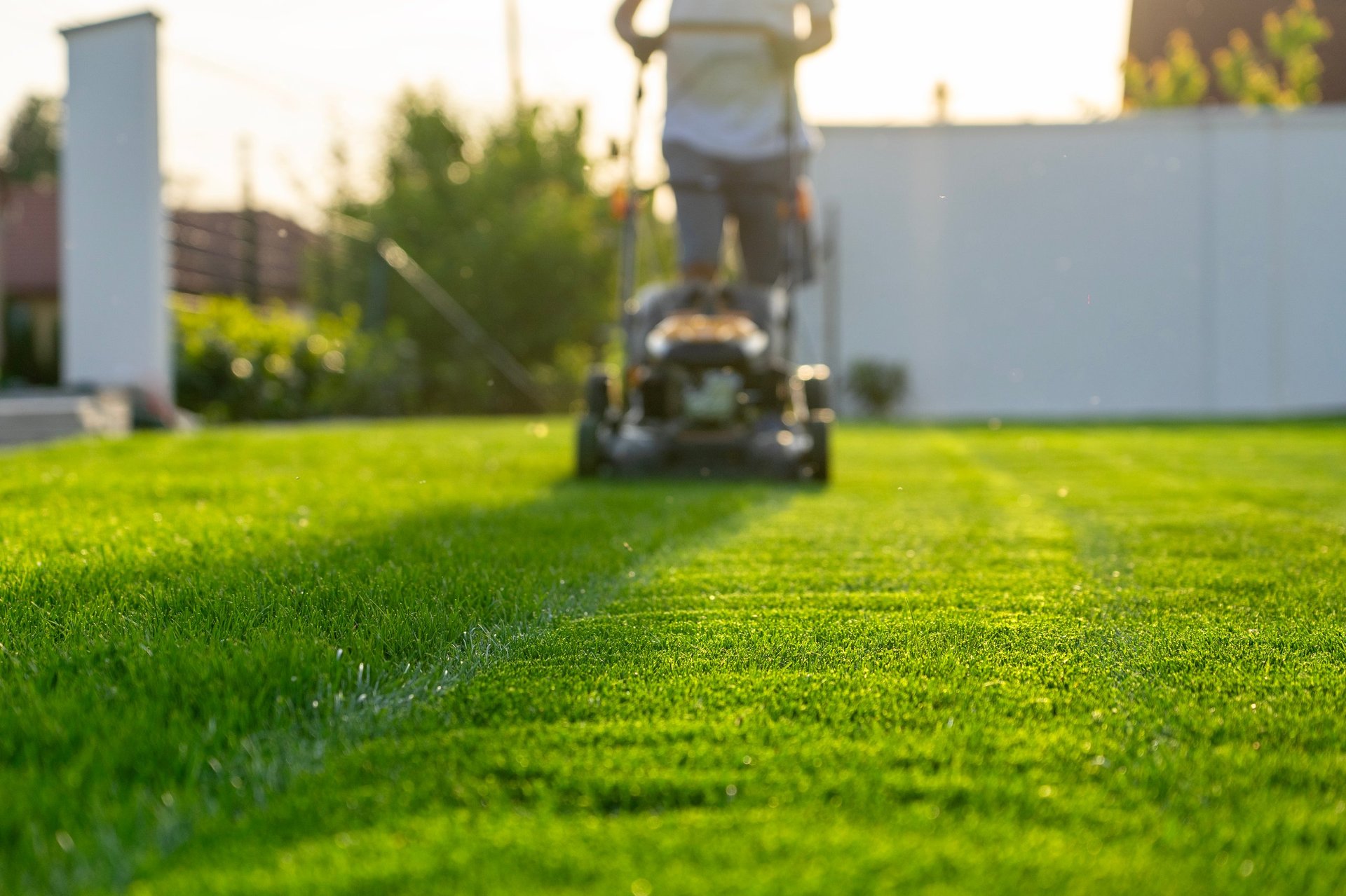 Green grass cutting with lawn mower in home garden