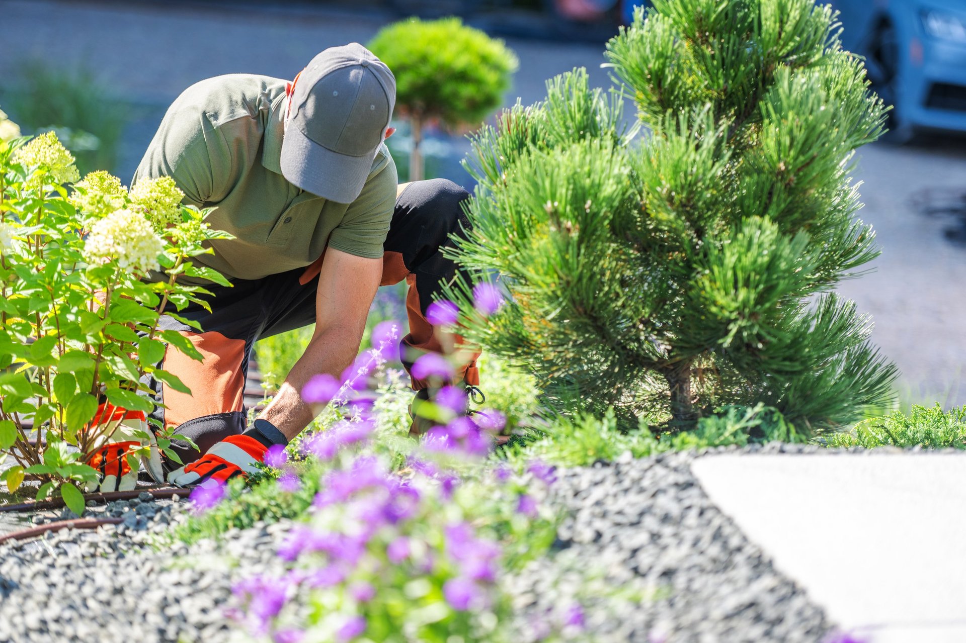 Professional landscaping services