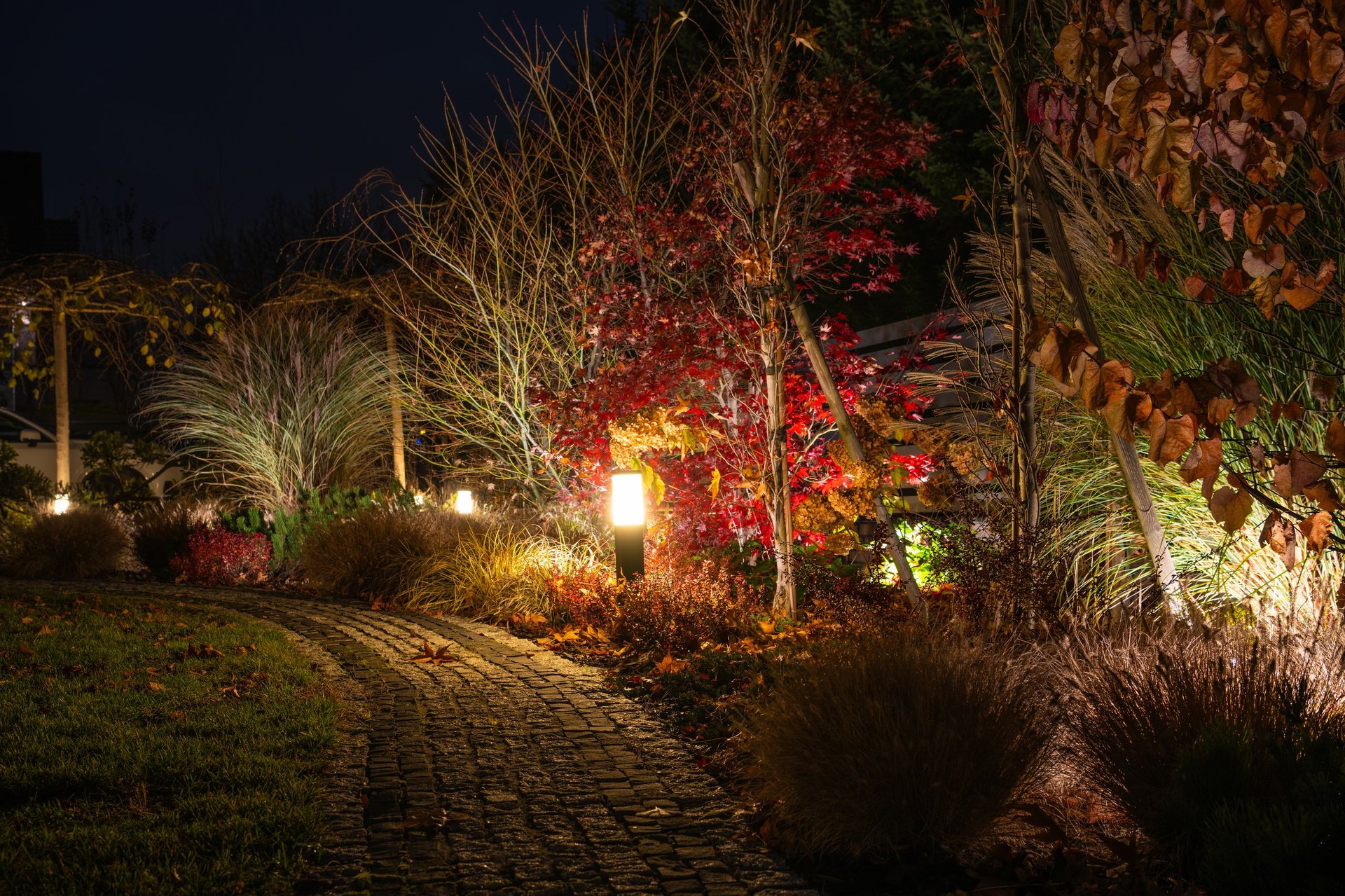 A winding garden path features soft lighting highlighting vibrant autumn leaves in reds and golds