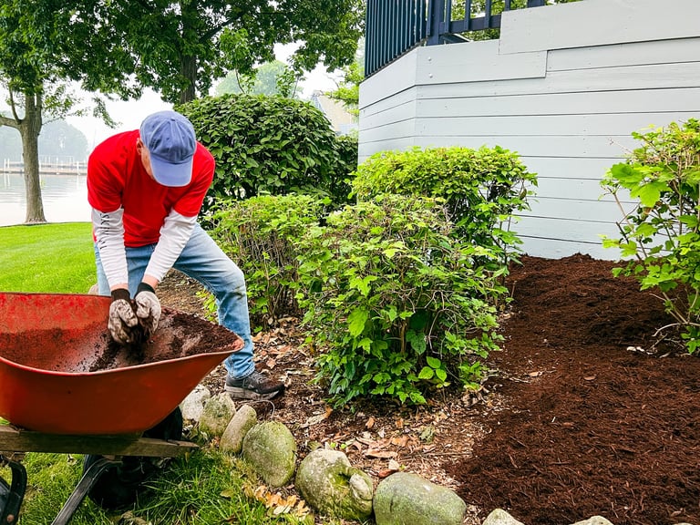 A man unloads mulch from a wheelbarrow in his back yard with beautifully landscaped yard in background