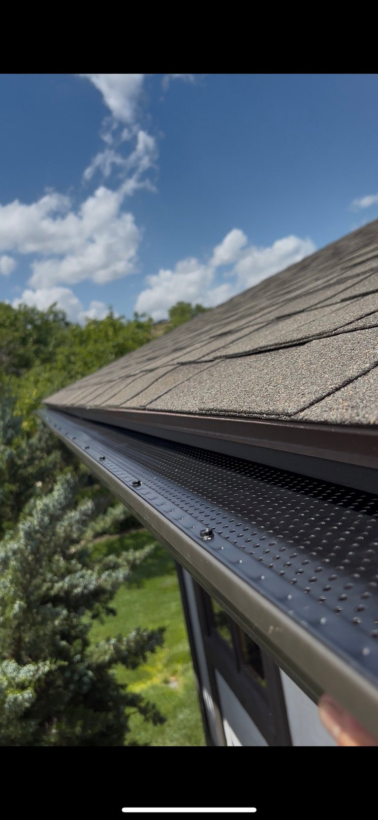 Close-up view of asphalt roof shingles and metal gutter against clear blue sky with green trees and landscaping below